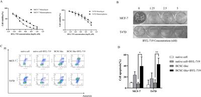 Effects of BYL-719 (alpelisib) on human breast cancer stem cells to overcome drug resistance in human breast cancer